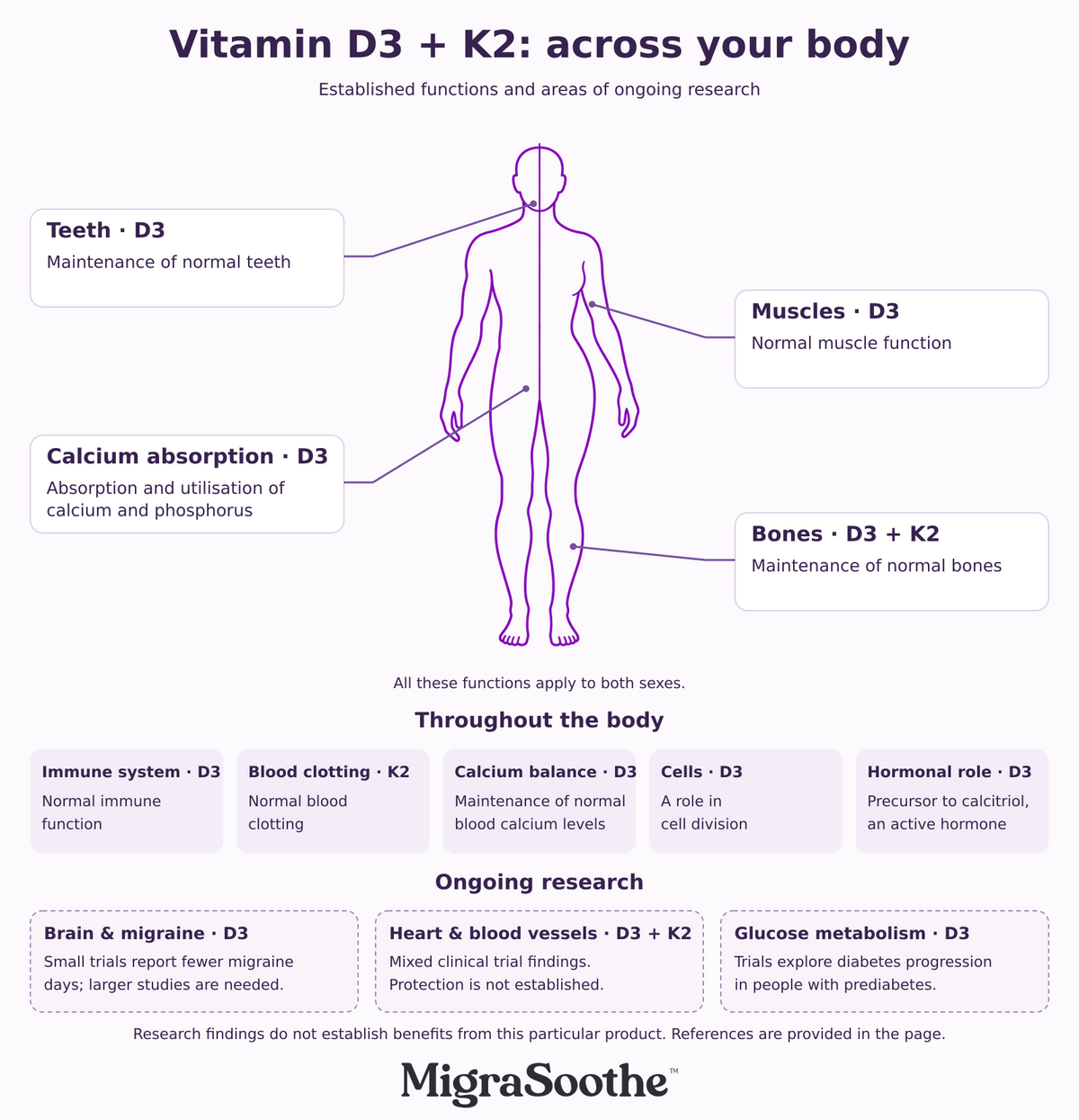 Thicker purple male and female outline with pointers from both sides, whole-body vitamin D3 and K2 functions, and D3 as precursor to the active hormone calcitriol.