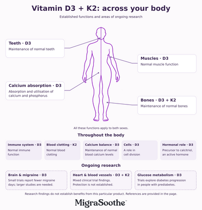 Thicker purple male and female outline with pointers from both sides, whole-body vitamin D3 and K2 functions, and D3 as precursor to the active hormone calcitriol.
