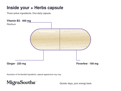 Illustrative + Herbs capsule with callouts for riboflavin 400 mg, ginger 220 mg and feverfew 100 mg.