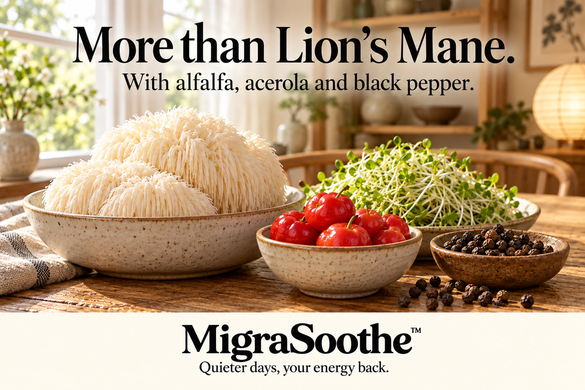 Lion’s Mane mushrooms, acerola fruit, alfalfa and black pepper in ceramic bowls on oak, with MigraSoothe branding and Quieter days, your energy back.