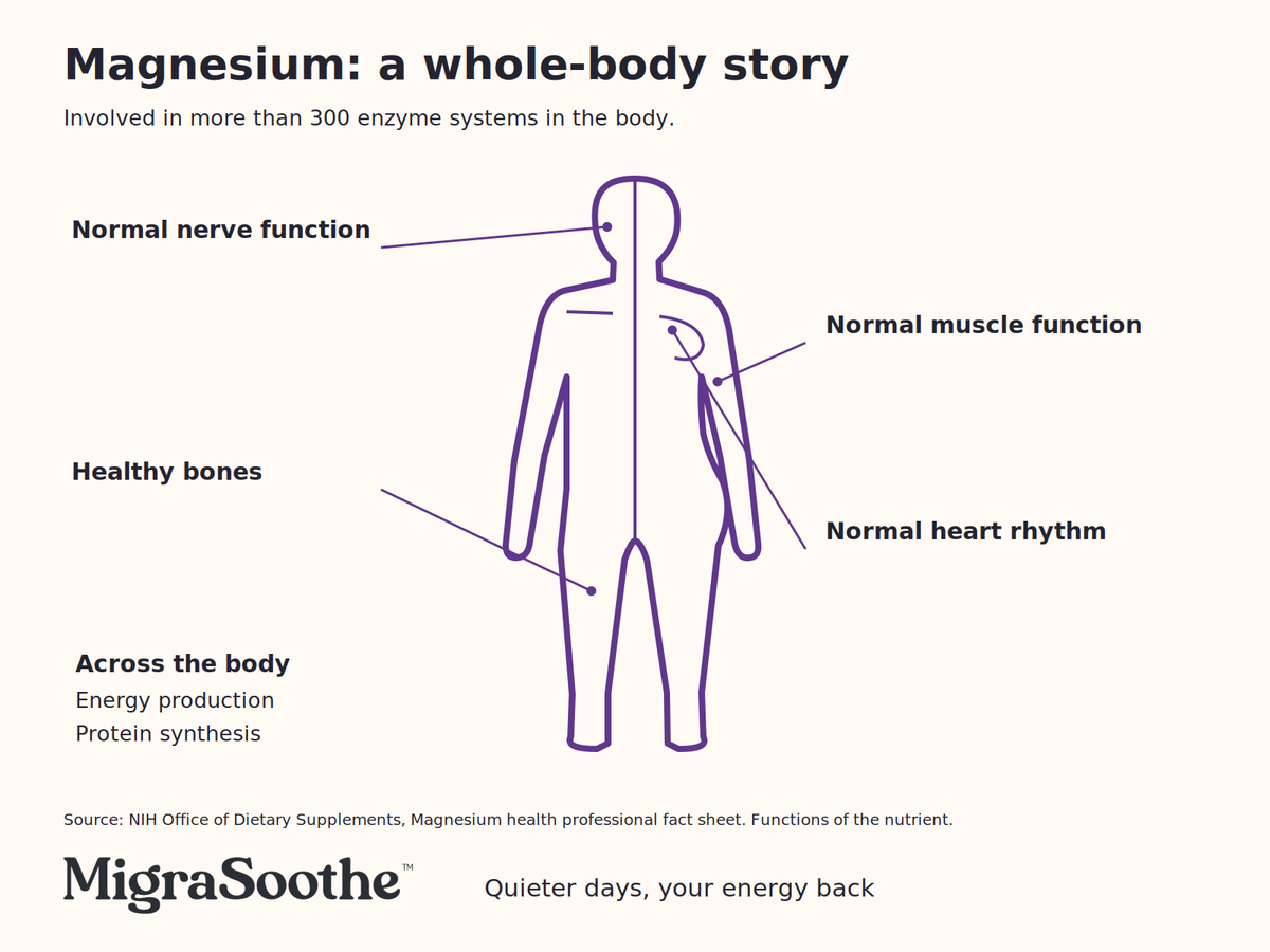 Thick purple body outline, male on the left and female on the right, with pointers to both sides showing magnesium’s whole-body roles and over 300 enzyme systems.