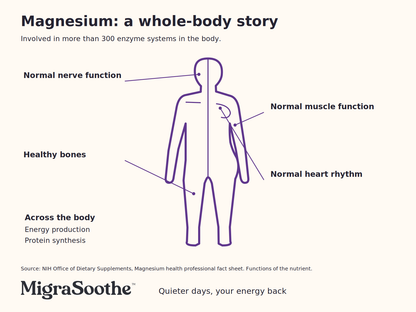Thick purple body outline, male on the left and female on the right, with pointers to both sides showing magnesium’s whole-body roles and over 300 enzyme systems.